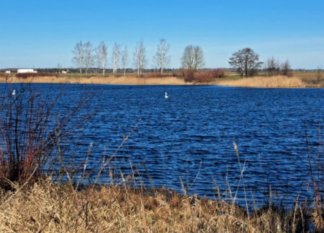 Parduodamas sklypas Ėriškių k., Panevėžio r. sav., 1000.00 a ploto