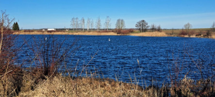 Parduodamas sklypas Ėriškių k., Panevėžio r. sav., 1000.00 a ploto 1