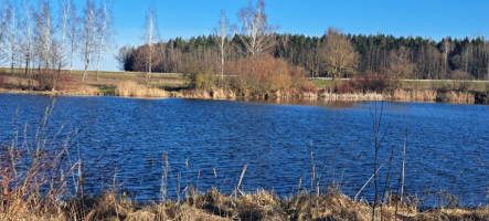Parduodamas sklypas Ėriškių k., Panevėžio r. sav., 1000.00 a ploto 2