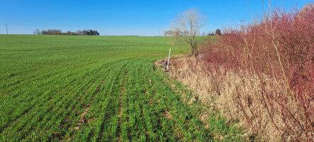 Parduodamas sklypas Ėriškių k., Panevėžio r. sav., 1000.00 a ploto 3