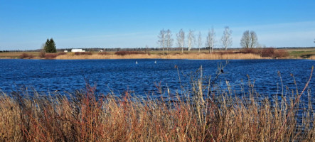 Parduodamas sklypas Ėriškių k., Panevėžio r. sav., 1000.00 a ploto 4