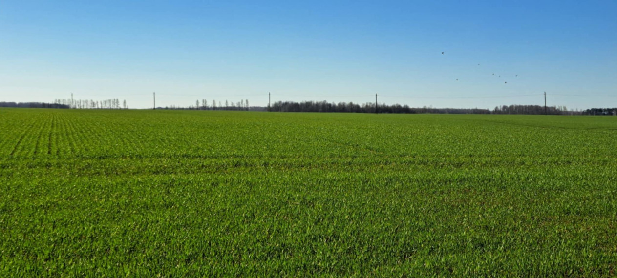 Parduodamas sklypas Ėriškių k., Panevėžio r. sav., 1000.00 a ploto 5
