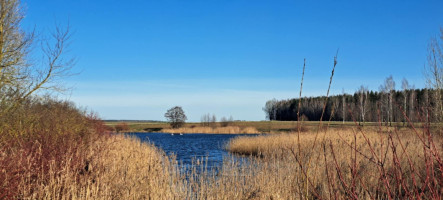 Parduodamas sklypas Ėriškių k., Panevėžio r. sav., 1000.00 a ploto 8