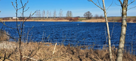Parduodamas sklypas Ėriškių k., Panevėžio r. sav., 1000.00 a ploto 9