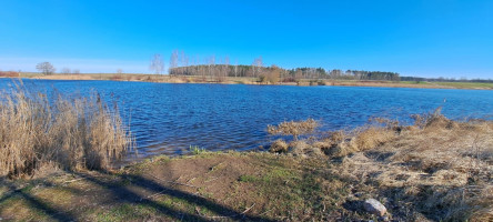 Parduodamas sklypas Ėriškių k., Panevėžio r. sav., 1000.00 a ploto 10