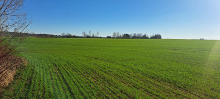 Parduodamas sklypas Ėriškių k., Panevėžio r. sav., 1000.00 a ploto 11