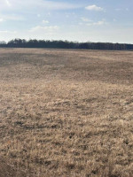 Parduodamas sklypas Degulių k., 1030 a ploto 3
