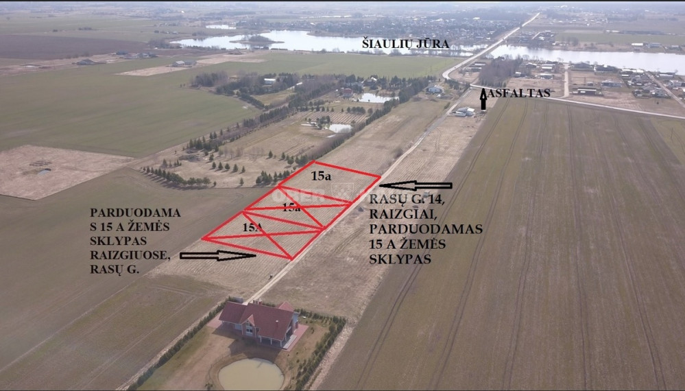 Parduodamas namų valdos paskirties sklypas Rasų g., Raizgių k., Šiaulių r. sav., 15 a ploto 1