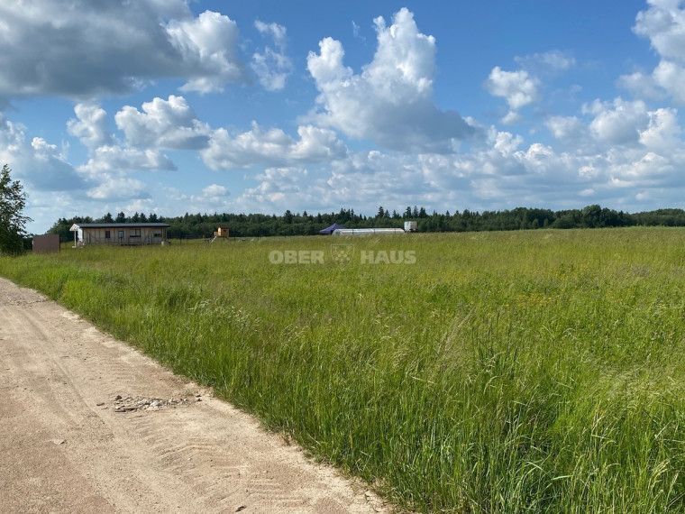 Parduodamas namų valdos paskirties sklypas Rasų g., Raizgių k., Šiaulių r. sav., 15 a ploto 6