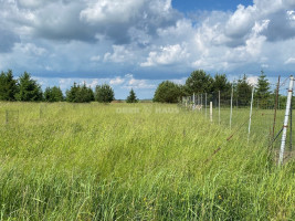Parduodamas namų valdos paskirties sklypas Rasų g., Raizgių k., Šiaulių r. sav., 15 a ploto 8