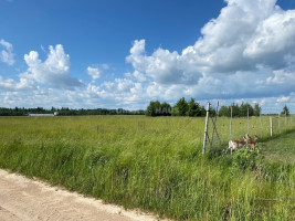 Parduodamas namų valdos paskirties sklypas Rasų g., Raizgių k., Šiaulių r. sav., 15 a ploto 10