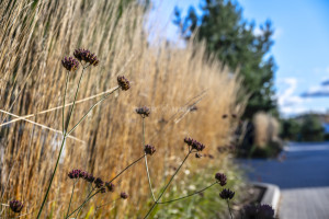 Parduodamas namas Veisiejų g., Trakų Vokė, Vilniaus m., Vilniaus m. sav., 132 m2 ploto, 1 aukštai 15
