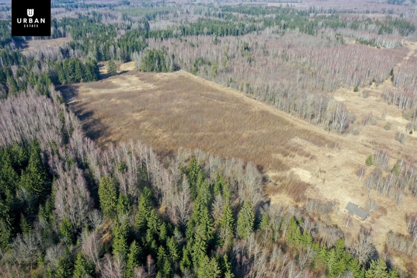 Parduodamas žemės ūkio sklypas šalia miško, Vilniaus rajone Trakelių k. 451 a ploto 1