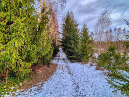 Parduodamas namas Kačiūniškių k., Molėtų r. sav., 87 m² ploto 3 kambariai 20