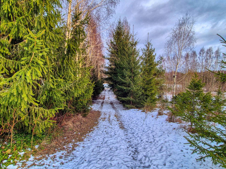 Parduodamas namas Kačiūniškių k., Molėtų r. sav., 87 m² ploto 3 kambariai 20