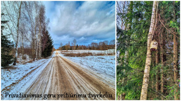 Parduodamas namas Kačiūniškių k., Molėtų r. sav., 87 m² ploto 3 kambariai 21