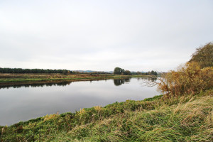 Parduodamas sklypas Kelto g., Čiobiškio k., Širvintų r. sav., 38.68 a ploto 12