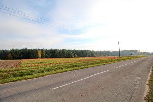 Parduodamas sklypas Kelto g., Čiobiškio k., Širvintų r. sav., 38.68 a ploto 10