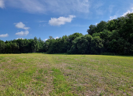 Parduodamas sklypas Turgaus g., Maišiagalos mstl., Vilniaus r. sav., 10.00 a ploto