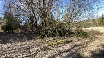 Parduodamas sklypas Napriūnų k., Molėtų r. sav., 4000.00 a ploto 4