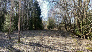 Parduodamas sklypas Napriūnų k., Molėtų r. sav., 4000.00 a ploto 28