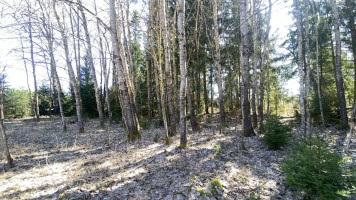Parduodamas sklypas Napriūnų k., Molėtų r. sav., 4000.00 a ploto 5