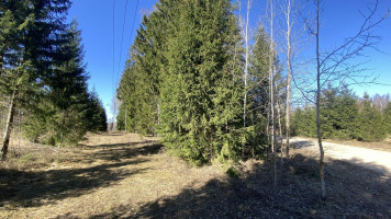 Parduodamas sklypas Napriūnų k., Molėtų r. sav., 4000.00 a ploto 6