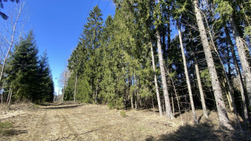 Parduodamas sklypas Napriūnų k., Molėtų r. sav., 4000.00 a ploto 7