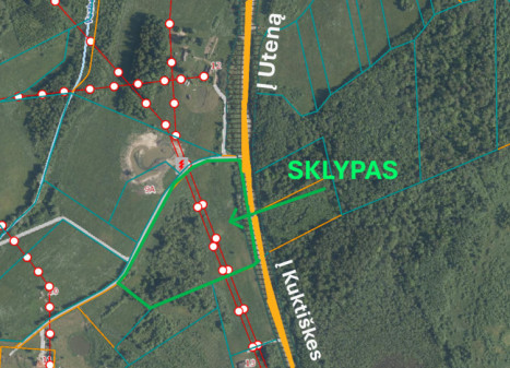 Parduodamas  sklypas Kimėnų k., Utenos r. sav., 386 a ploto