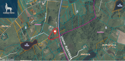 Parduodamas  sklypas Kimėnų k., Utenos r. sav., 386 a ploto 4