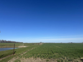 Parduodamas namas Vartyčios g., Pavartyčių k., Radviliškio r. sav., 71.90 m² ploto 4 kambariai 9