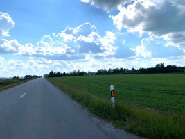 Parduodamas namų valdos paskirties sklypas Tilto g., Sauginių k., Šiaulių r. sav., 58.05 a ploto 9