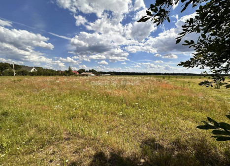 Parduodamas namų valdos paskirties sklypas Vilktupio g., Vilkapjūvių k., Panevėžio r. sav., 15.65 a ploto
