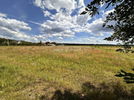 Parduodamas namų valdos paskirties sklypas Vilktupio g., Vilkapjūvių k., Panevėžio r. sav., 15.65 a ploto 1
