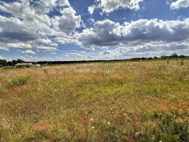 Parduodamas namų valdos paskirties sklypas Vilktupio g., Vilkapjūvių k., Panevėžio r. sav., 15.65 a ploto 2