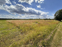 Parduodamas namų valdos paskirties sklypas Vilktupio g., Vilkapjūvių k., Panevėžio r. sav., 15.65 a ploto 3