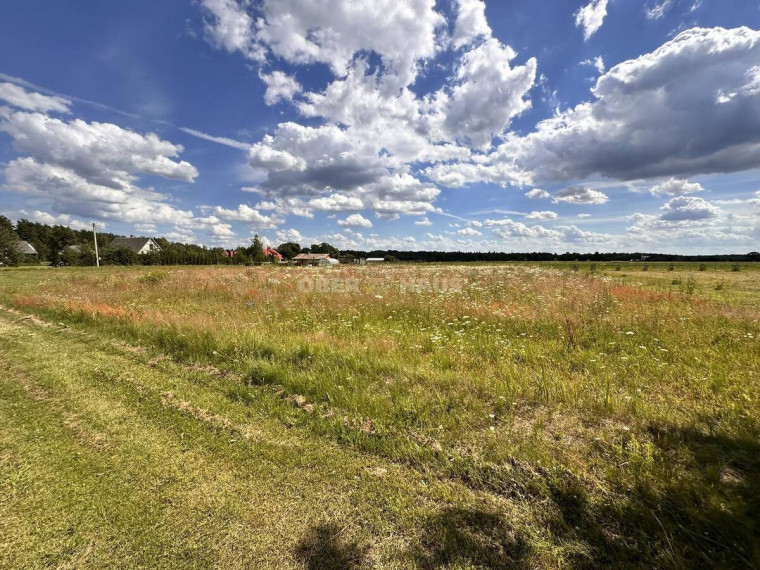 Parduodamas namų valdos paskirties sklypas Vilktupio g., Vilkapjūvių k., Panevėžio r. sav., 15.65 a ploto 4