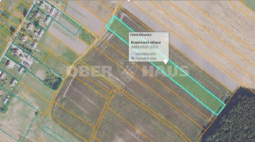 Parduodamas žemės ūkio paskirties sklypas Pakapės k., Šiaulių r. sav., 245 a ploto 4