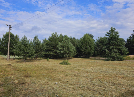 Parduodamas sklypas Ievų g., Senosios Varėnos k., Varėnos r. sav., 28 a ploto