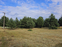 Parduodamas sklypas Ievų g., Senosios Varėnos k., Varėnos r. sav., 28 a ploto 1
