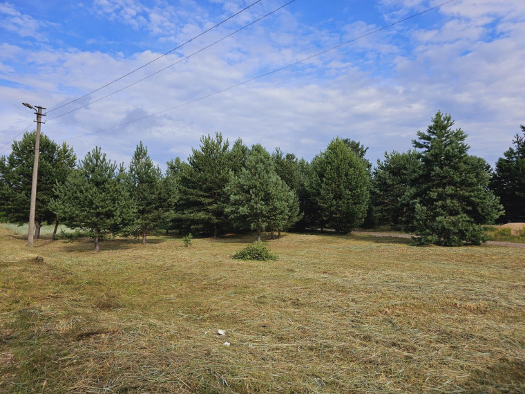 Parduodamas sklypas Ievų g., Senosios Varėnos k., Varėnos r. sav., 28 a ploto 1