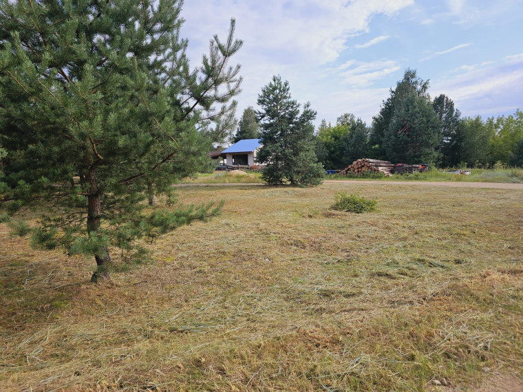 Parduodamas sklypas Ievų g., Senosios Varėnos k., Varėnos r. sav., 28 a ploto 2