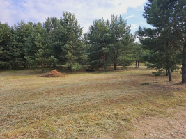 Parduodamas sklypas Ievų g., Senosios Varėnos k., Varėnos r. sav., 28 a ploto 3
