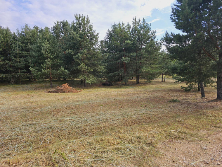 Parduodamas sklypas Ievų g., Senosios Varėnos k., Varėnos r. sav., 28 a ploto 3
