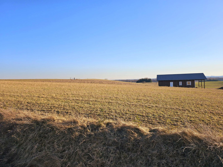 Parduodamas sklypas Žalioji g., Domantonių k., Alytaus r. sav., 21.00 a ploto 2