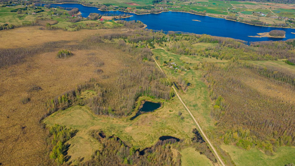 Parduodamas sklypas Dugnų g., Ilgininkų k., Varėnos r. sav., 450.00 a ploto 1