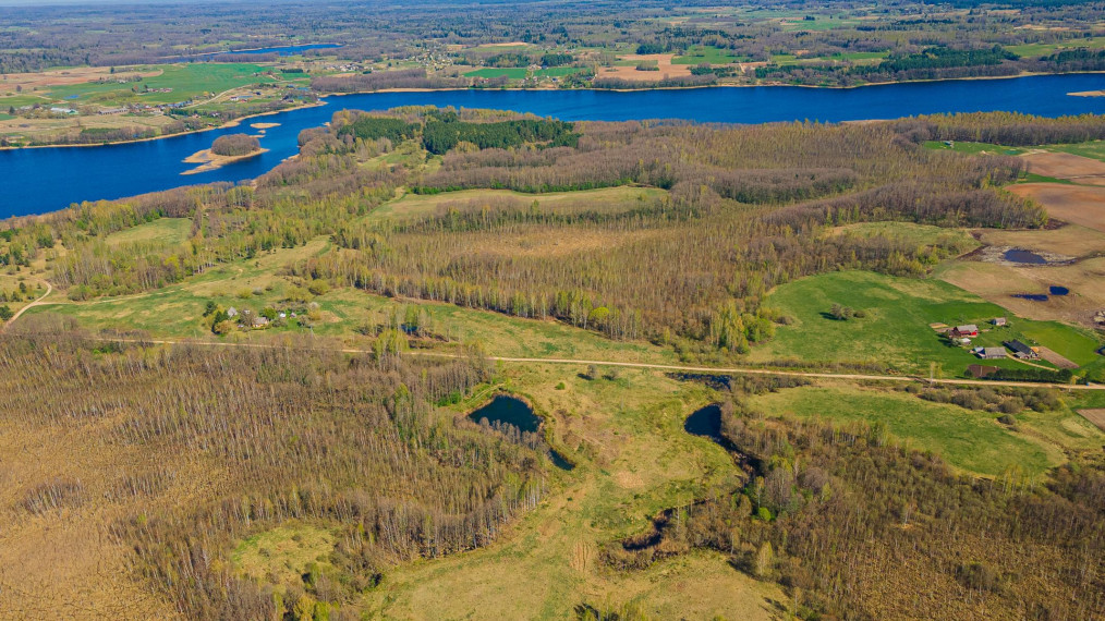 Parduodamas sklypas Dugnų g., Ilgininkų k., Varėnos r. sav., 450.00 a ploto 2