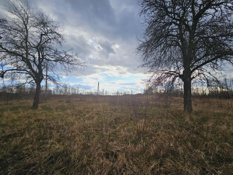 Parduodamas sklypas Dugnų g., Ilgininkų k., Varėnos r. sav., 450.00 a ploto 14