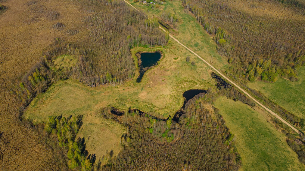 Parduodamas sklypas Dugnų g., Ilgininkų k., Varėnos r. sav., 450.00 a ploto 5