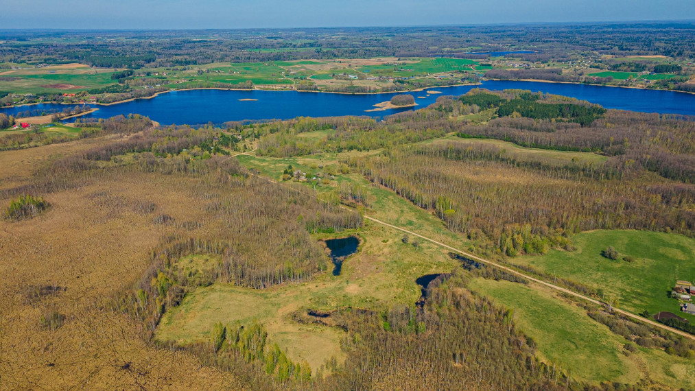 Parduodamas sklypas Dugnų g., Ilgininkų k., Varėnos r. sav., 450.00 a ploto 6